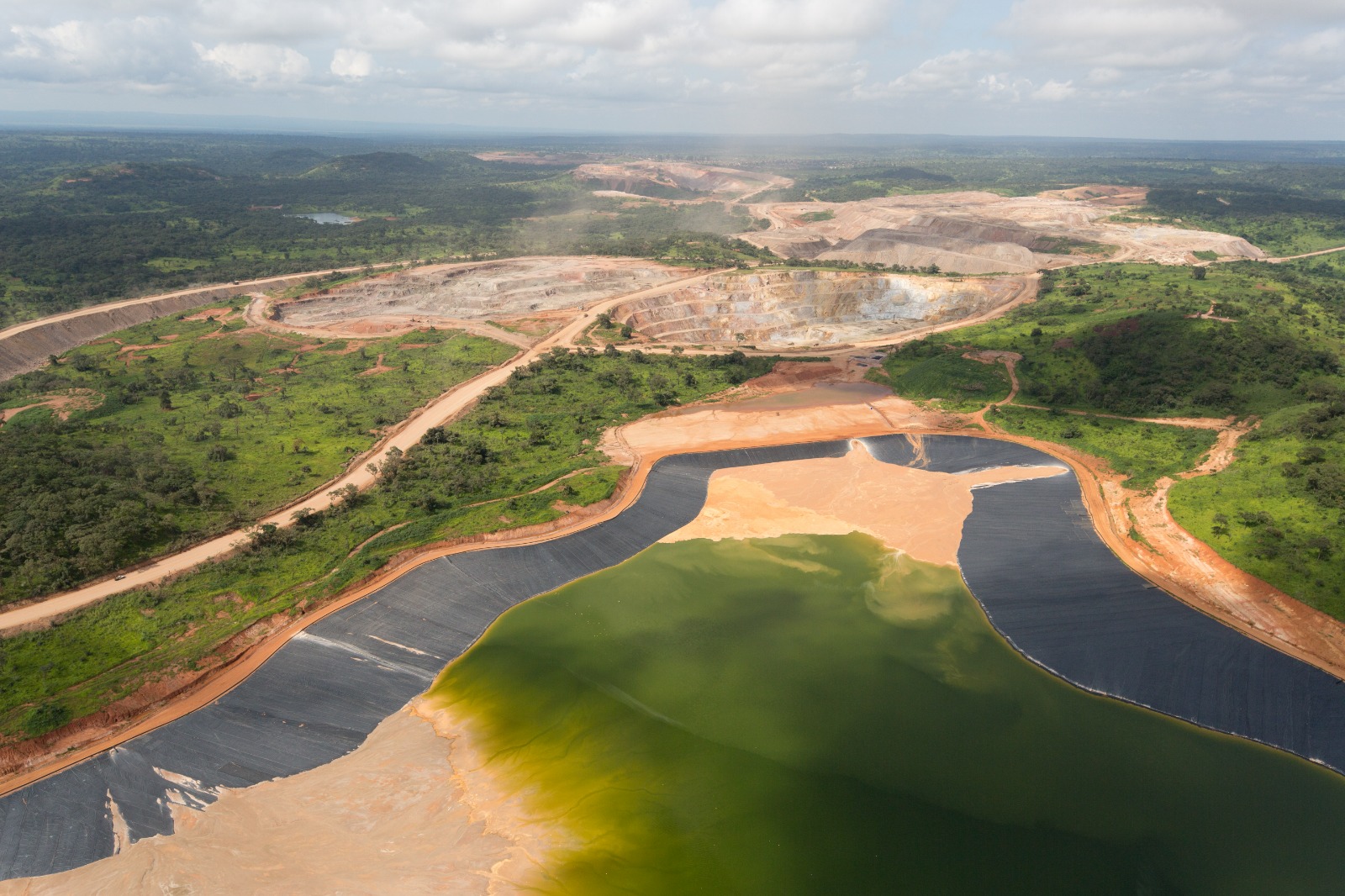 Biodiversité · Site web officiel de Tenke Fungurume Mining (TFM)