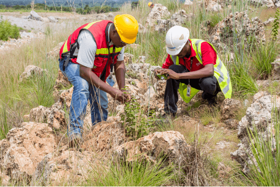 Biodiversité · Site web officiel de Tenke Fungurume Mining (TFM)