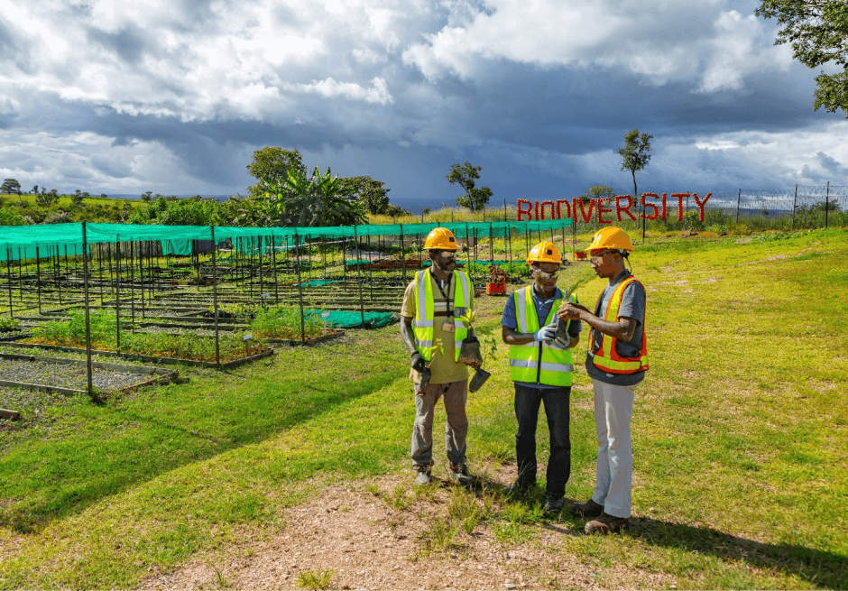 Biodiversité · Site web officiel de Tenke Fungurume Mining (TFM)